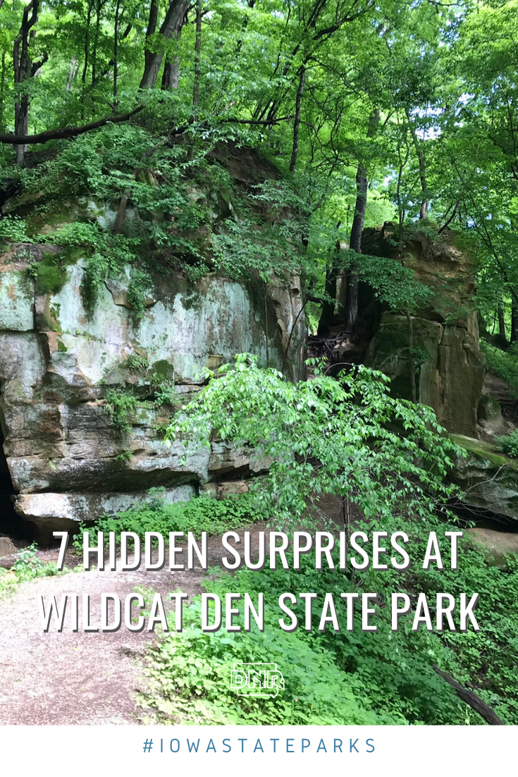 7 hidden surprises at Wildcat Den State Park, including Steamboat Rock #IowaStateParks